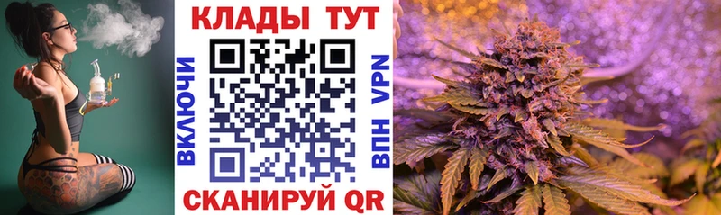 Купить наркотики Кингисепп ТГК  COCAIN  APVP  ГАШ  Бошки Шишки 