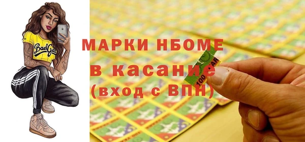 индика Козельск