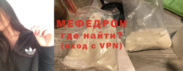 индика Козельск