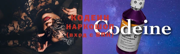 индика Козельск