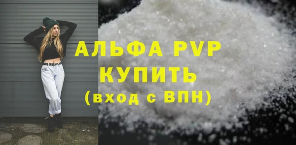индика Козельск