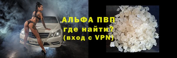 прущая мука Корсаков