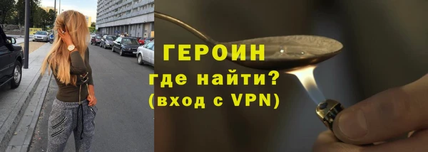 индика Козельск