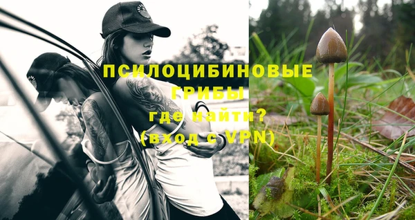индика Козельск
