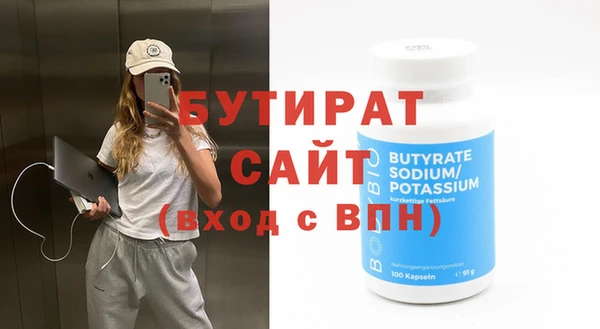 индика Козельск