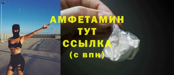 индика Козельск
