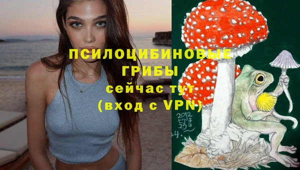 каннабис Коряжма