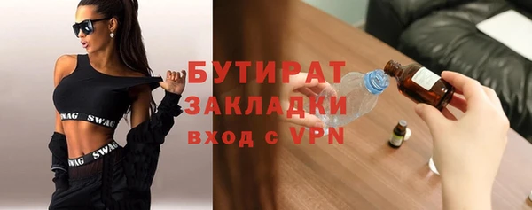 индика Козельск