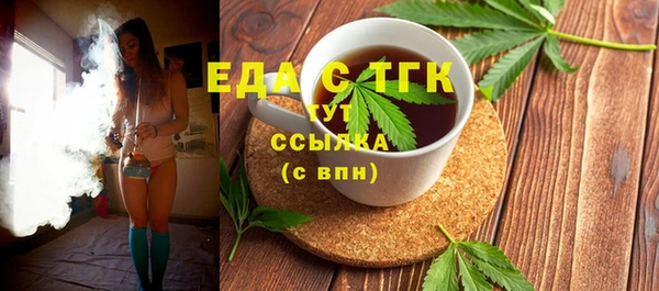 индика Козельск