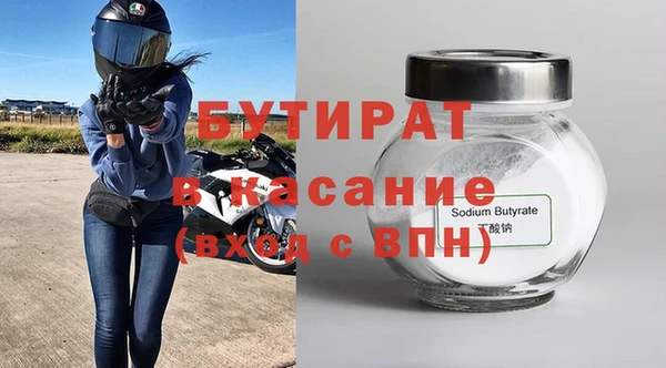 индика Козельск