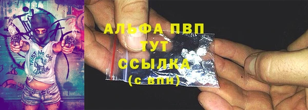 индика Козельск