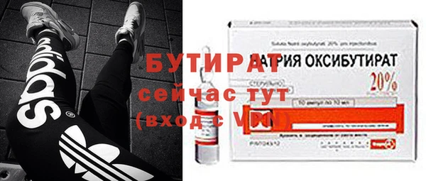 индика Козельск