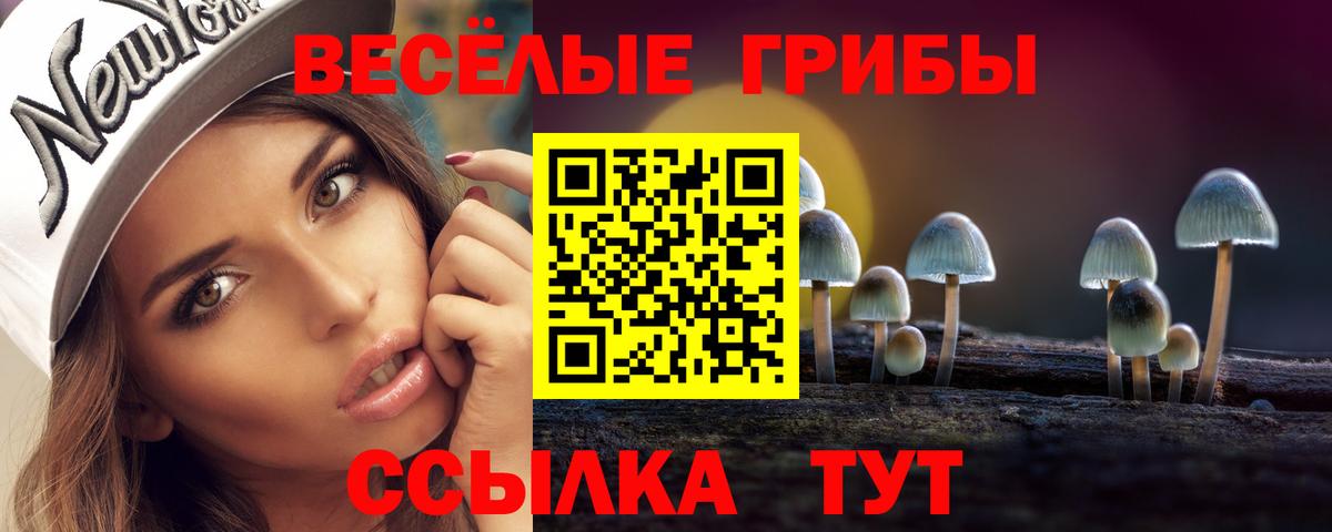 Галлюциногенные грибы Cubensis Кингисепп