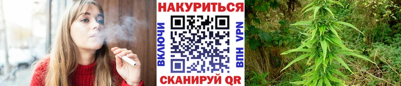 Конопля White Widow Кингисепп